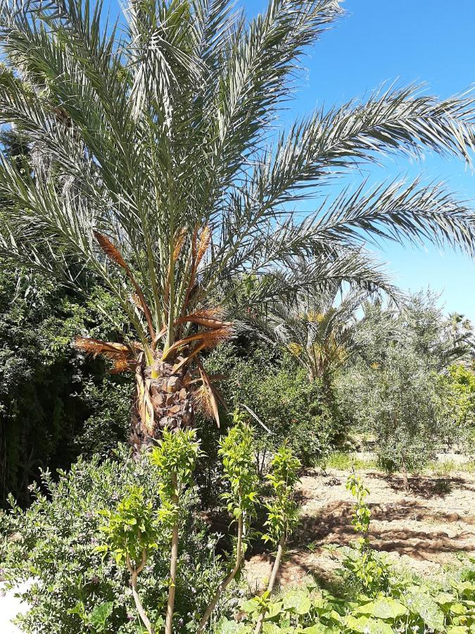 Villa De Charme Chott-meriem *