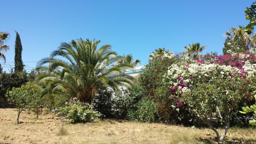 De Charme Chott-meriem * Sousse
